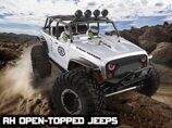 Радиоуправляемый краулер Remo Hobby RH Open-Topped Jeeps 4WD RTR масштаб 1:10